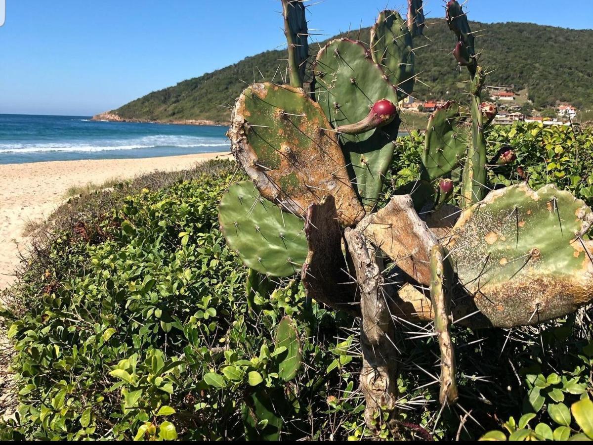 Cantinho Do Paraiso Gamboa  Dış mekan fotoğraf